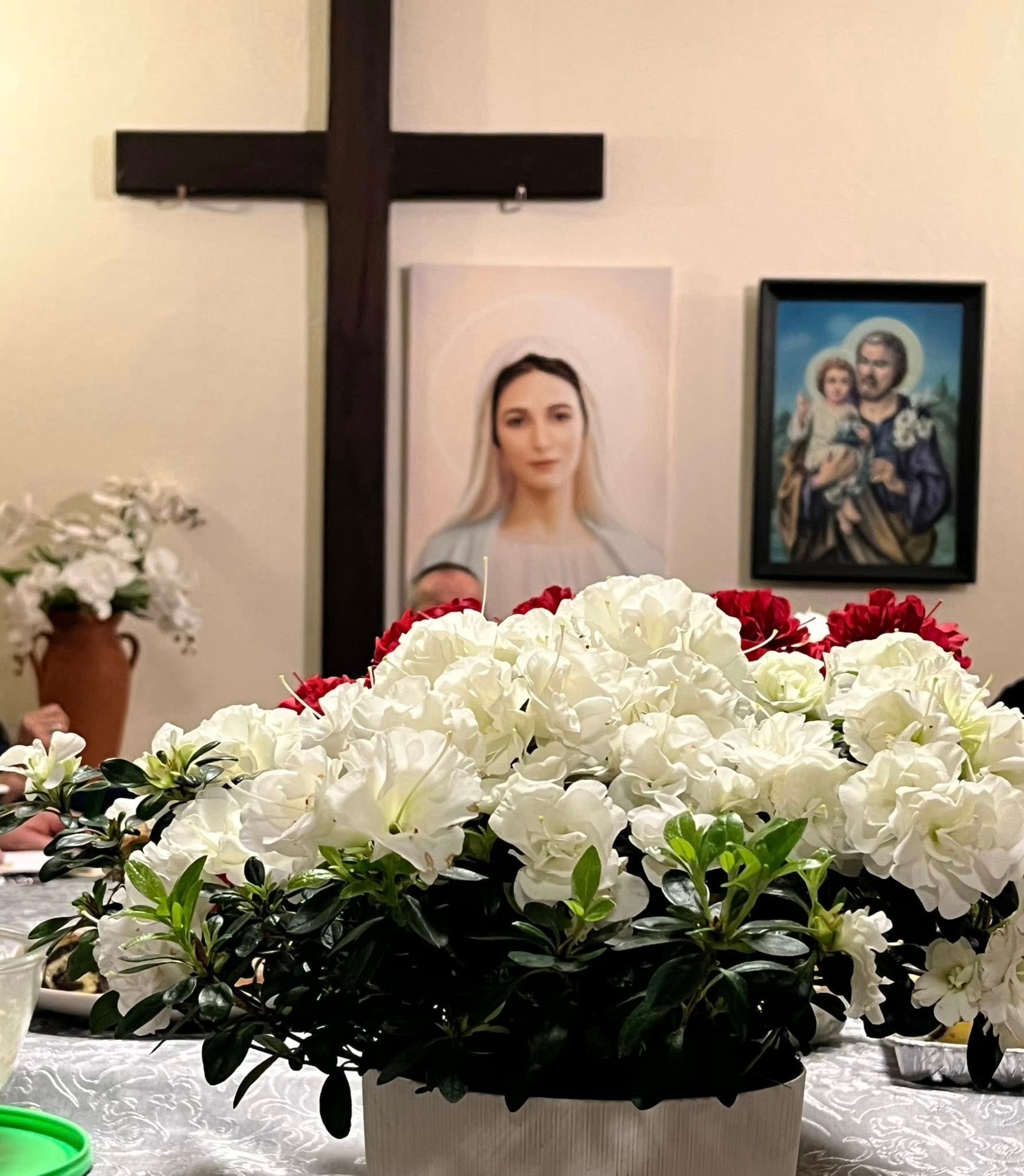 Galeria